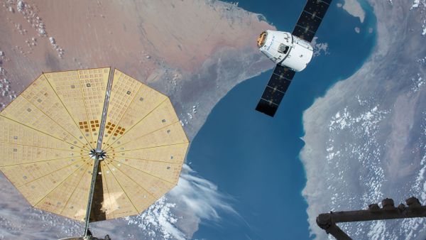 The SpaceX Dragon spacecraft nears the International Space Station during the CRS-8 mission to deliver experiments including two microbial investigations. - Sputnik International