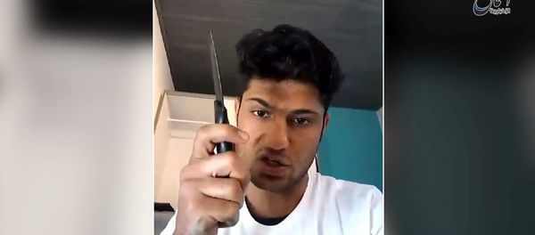 German Train Attacker - Sputnik International