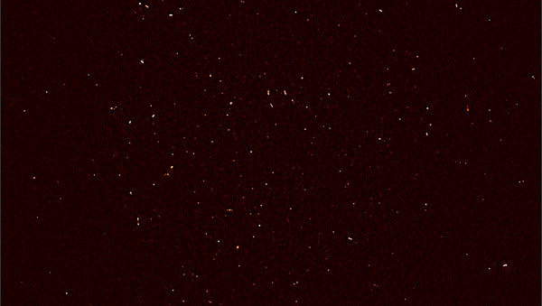 MeerKAT radio telescope imagery - Sputnik International