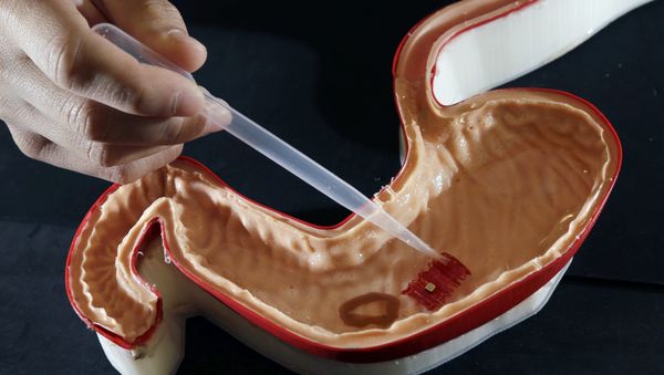 Origami Robot in silicone stomach - Sputnik International