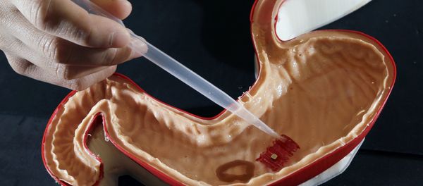 Origami Robot in silicone stomach - Sputnik International