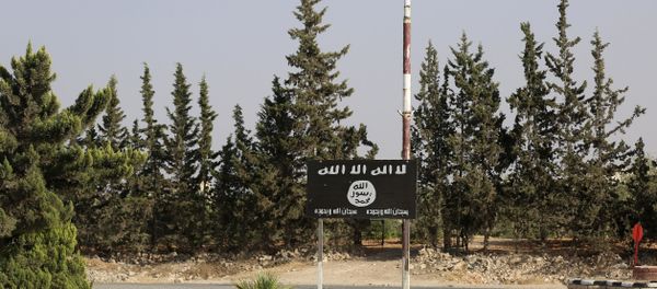 An Islamic State (IS) group flag is seen on a road in the jihadist's group bastion of Manbij, in northern Syria (File) - Sputnik International