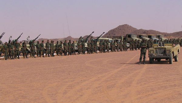 Gathering of Polisario troops, near Tifariti (Western Sahara), celebrating the 32nd anniversary of the Polisario Front - Sputnik International