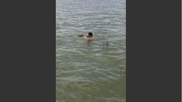 Baby Deer Saved in the Middle of Lake Buchanan - Sputnik International