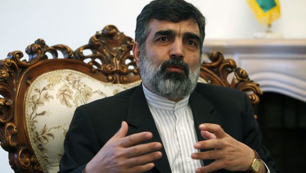 Behrouz Kamalvandi (file) - Sputnik International