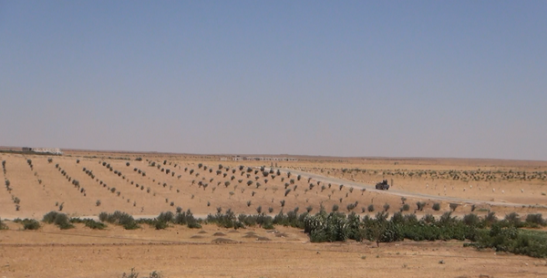 Syrian army - Sputnik International