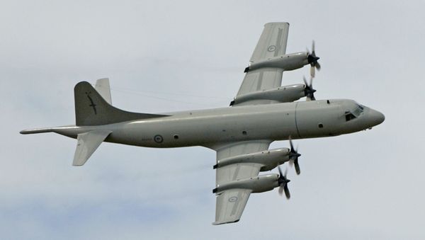 Lockheed P-3 Orion aircraft. (File) Lockheed P-3 Orion aircraft. (File) - Sputnik International