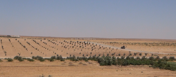 Syria Hama Syria Hama - Sputnik International
