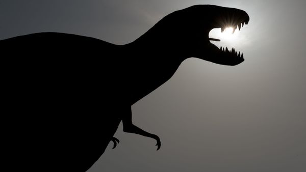 Dinosaur - Sputnik International