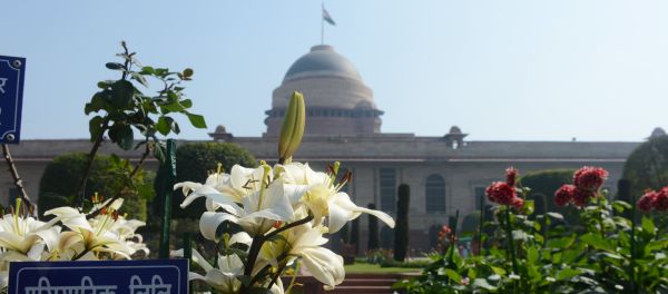 Asiatic Lily's bloom in the Mughal Gardens at Rashtrapati Bhawan, the Presidential Palace, in New Delhi Asiatic Lily's bloom in the Mughal Gardens at Rashtrapati Bhawan, the Presidential Palace, in New Delhi - Sputnik International