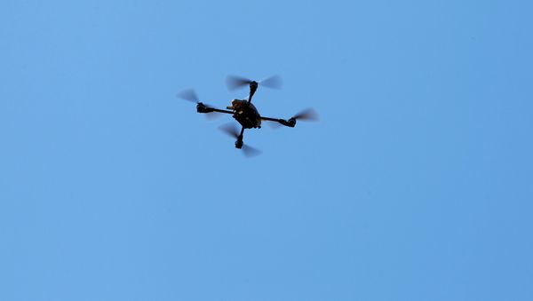 U.S. Marines fly a Grp I UAS: Instant Eye drone as part of the Rim of the Pacific (RIMPAC) 2016 exercise held at Camp Pendleton, California United States, July 13, 2016. - Sputnik International