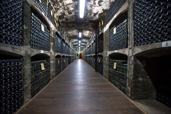 Massandra Winery - Sputnik International