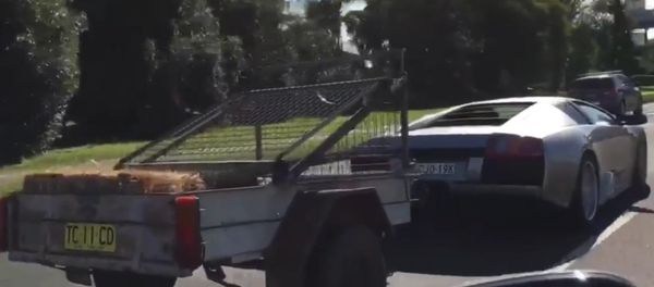 Lamborghini murcielago with goats in the trailer! Original video - Sputnik International