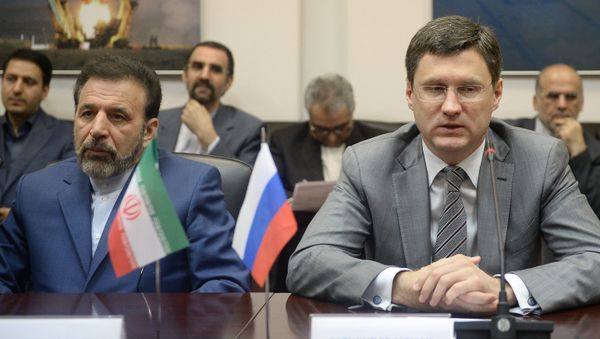 Russian Energy Minister Alexander Novak's meeting with Iranian IT Minister Mahmoud Vaezi - Sputnik International