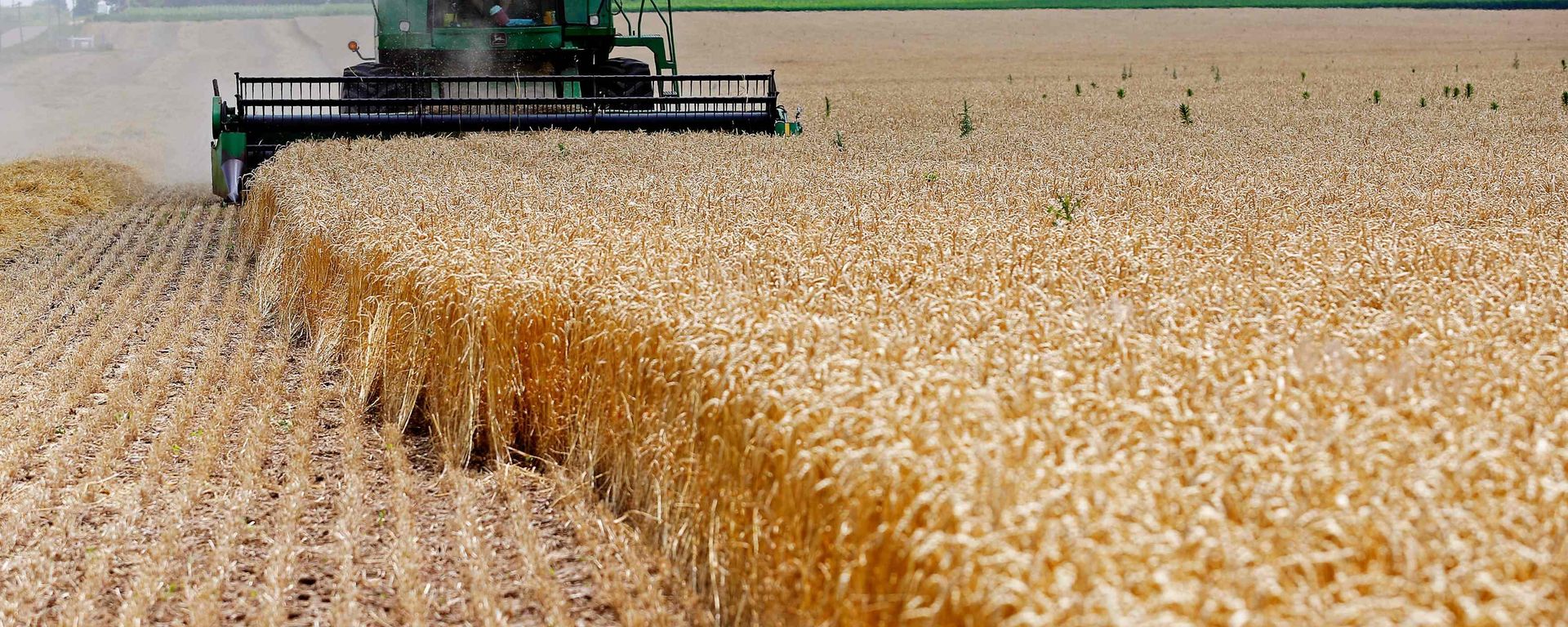 A combine drives over stalks of soft red winter wheat during the harvest on a farm in Dixon, Illinois (File) - Sputnik International, 1920, 10.03.2022