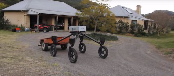 SwagBot - Sputnik International