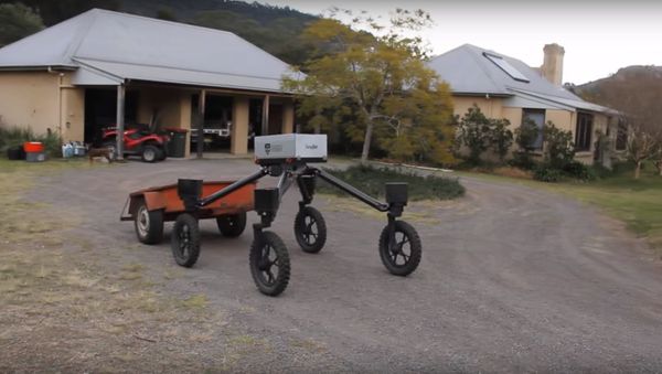 SwagBot - Sputnik International