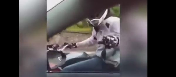 Road Rage Road Rage - Sputnik International