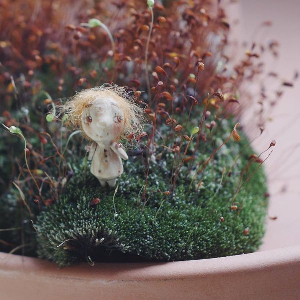 Good Things in Small Packages: Miniature Dolls That Fit in a Walnut Shell Good Things in Small Packages: Miniature Dolls That Fit in a Walnut Shell - Sputnik International