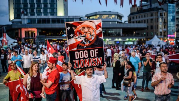 A Pro-Erdogan supporter holds a portrait of US-based cleric Fethullah Gulen during a rally against the military coup on Taksim square in Istanbul on July 25, 2016 A Pro-Erdogan supporter holds a portrait of US-based cleric Fethullah Gulen during a rally against the military coup on Taksim square in Istanbul on July 25, 2016 - Sputnik International