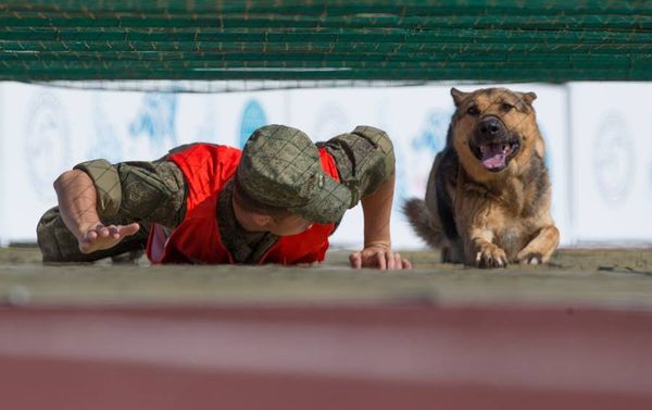 'True Friend' service dogs competition - Sputnik International