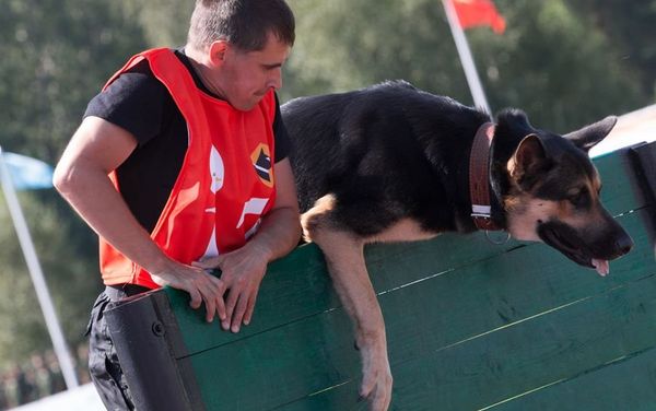 'True Friend' service dogs competition - Sputnik International
