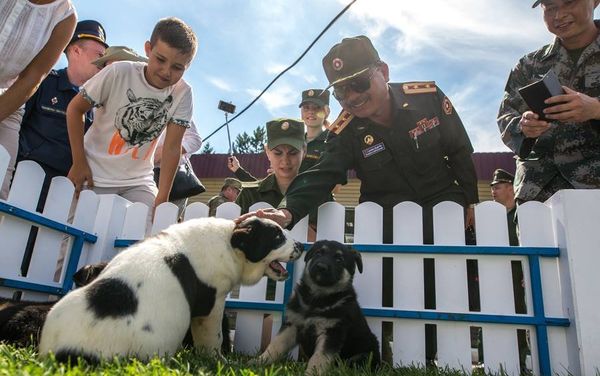 'True Friend' service dogs competition - Sputnik International