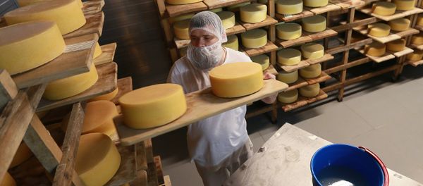 Cheese blocks are washed and put into the cheese maturation storage at the Russky Parmezan cheese factory in the Istra Region of the Moscow Region. Cheese blocks are washed and put into the cheese maturation storage at the Russky Parmezan cheese factory in the Istra Region of the Moscow Region. - Sputnik International