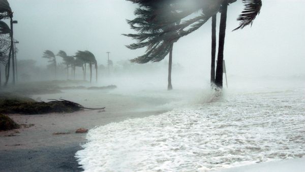 Tropical storm strikes west Mexico - Sputnik International