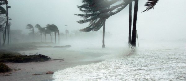 Tropical storm strikes west Mexico Tropical storm strikes west Mexico - Sputnik International