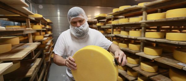 Cheese blocks are washed and put into the cheese maturation storage at the Russky Parmezan cheese factory in the Istra Region of the Moscow Region Cheese blocks are washed and put into the cheese maturation storage at the Russky Parmezan cheese factory in the Istra Region of the Moscow Region - Sputnik International