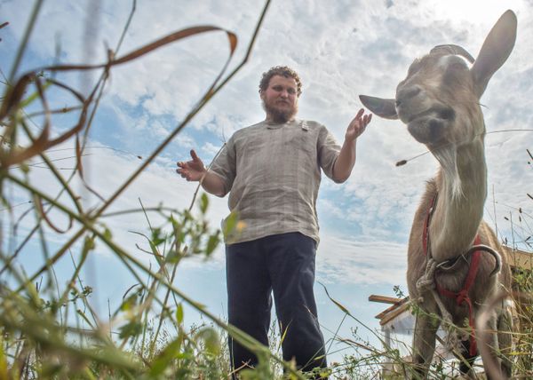 Farmer Oleg Sirota at Russian Parmesan cheese dairy is Moscow Region's Istrinsky district - Sputnik International
