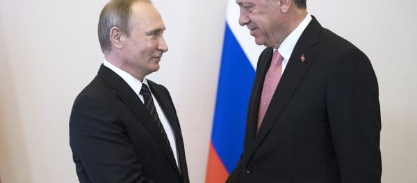 Russian President Vladimir Putin meets with Turkish President Recep Tayyip Erdogan at the Constantine Palace. Russian President Vladimir Putin meets with Turkish President Recep Tayyip Erdogan at the Constantine Palace. - Sputnik International