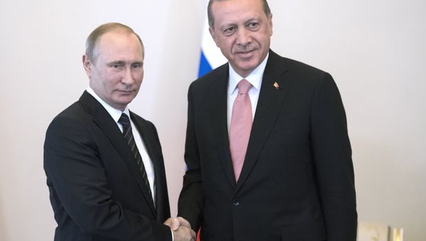 Russian President Vladimir Putin meets with Turkish President Recep Tayyip Erdogan at the Constantine Palace. Russian President Vladimir Putin meets with Turkish President Recep Tayyip Erdogan at the Constantine Palace. - Sputnik International