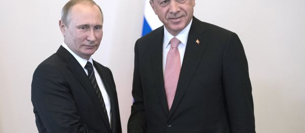 Russian President Vladimir Putin meets with Turkish President Recep Tayyip Erdogan at the Constantine Palace. Russian President Vladimir Putin meets with Turkish President Recep Tayyip Erdogan at the Constantine Palace. - Sputnik International