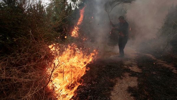 A man works to extinguish a forest fire in Arbo in the northwest Spanish region of Galicia, August 11, 2016 - Sputnik International