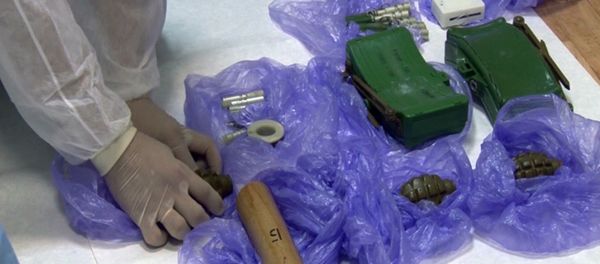 Grenades and land mines found during detention of Ukrainian saboteurs detained by the Russian Federal Security Service in Crimea. The detainee planned a number of attacks using explosives, in Crimea. (A still from a video, courtesy of the FSB Public Relations Center) - Sputnik International