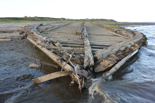 Wooden barge on the banks of the Yenisei river Wooden barge on the banks of the Yenisei river - Sputnik International