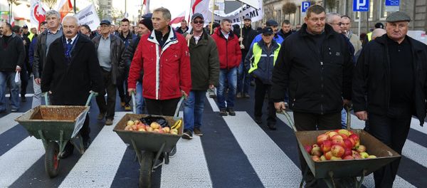 Hundreds of Polish farmers and horticulturists staged a march in Warsaw in protest against Russia's ban on the import of their fruit and vegetables. File photo Hundreds of Polish farmers and horticulturists staged a march in Warsaw in protest against Russia's ban on the import of their fruit and vegetables. File photo - Sputnik International
