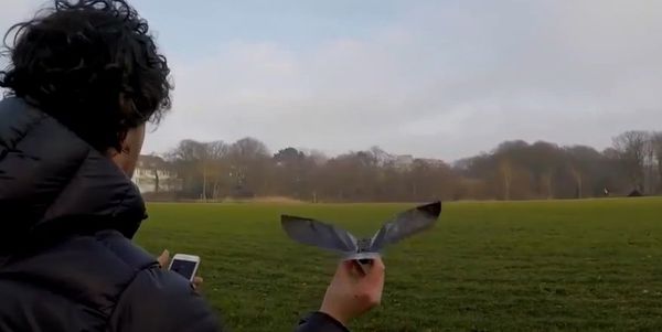 The Bionic Bird: A Great High-Tech Toy! The Bionic Bird: A Great High-Tech Toy! - Sputnik International