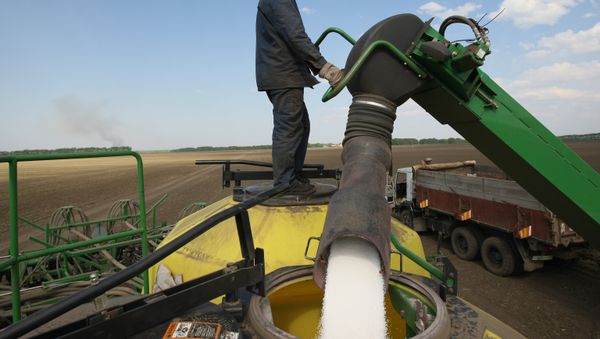 A worker loads fertilizers for treating fields of Irmen stud farm. - Sputnik International