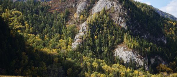 Autumn in Altai Republic - Sputnik International