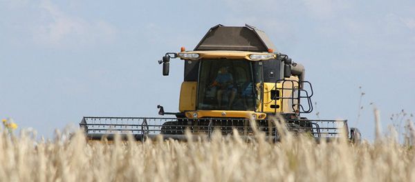 Harvesting in the Kursk region - Sputnik International