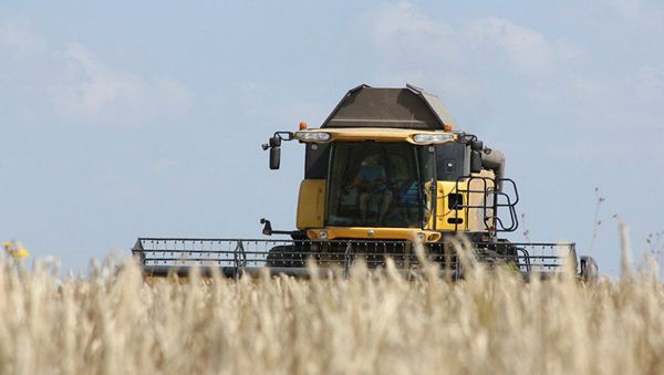Harvesting in the Kursk region - Sputnik International