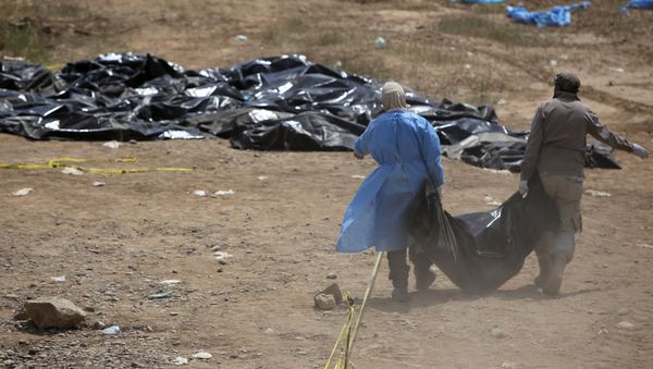 Members of the Iraqi security forces work at the site of a mass grave containing the remains of people believed to have been slain by jihadists of the Islamic State (IS) group at the Speicher camp in the city of Tikrit, on April 12, 2015 - Sputnik International