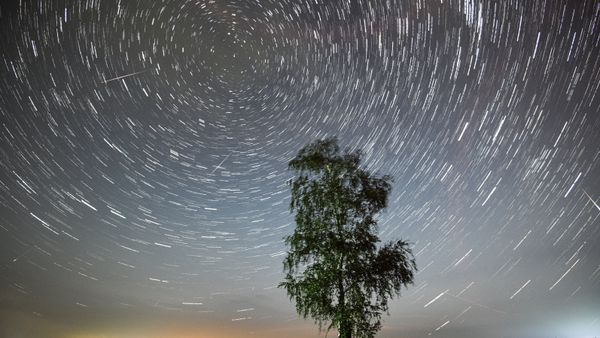Perseid meteor shower - Sputnik International