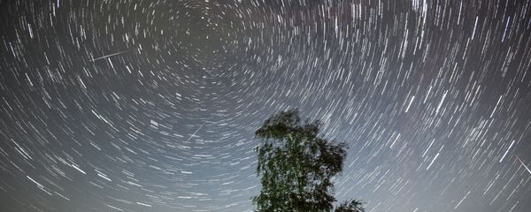 Perseid meteor shower Perseid meteor shower - Sputnik International