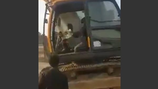 Little girl drives an excavator - Sputnik International