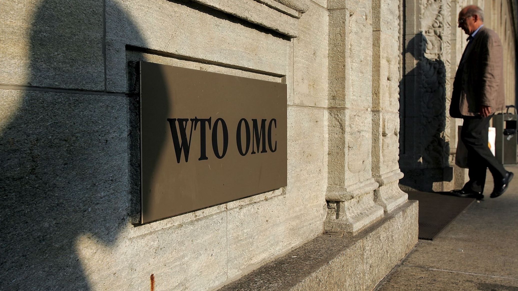 Russian Economy Minister Calls for Efforts to Preserve WTO