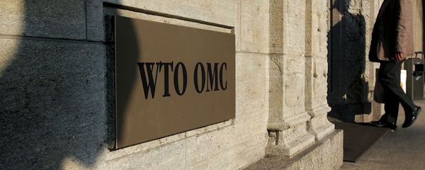 The shadow of a sculpture is reflected on the World Trade Organisation, WTO sign near the entrance of the headquarters, in Geneva (File) The shadow of a sculpture is reflected on the World Trade Organisation, WTO sign near the entrance of the headquarters, in Geneva (File) - Sputnik International